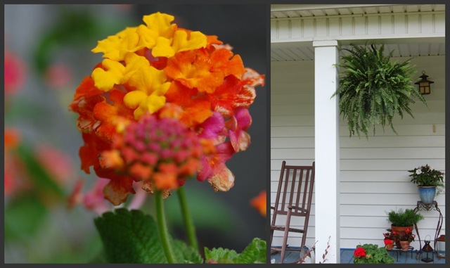 [lantana and porch[3].jpg]