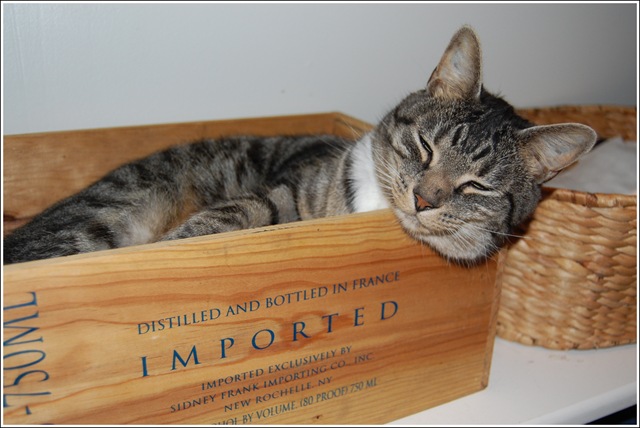 [Joe in box[3].jpg]