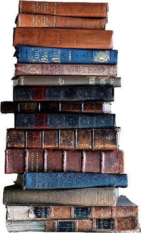 [stack of books[4].jpg]