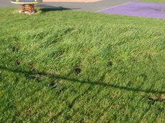 Trampoline burnt out and filled in