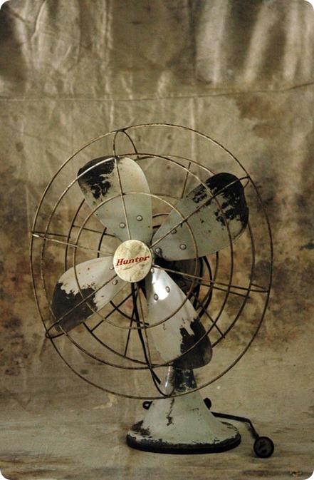 fan1