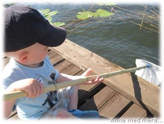 Bild6