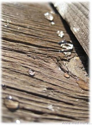 Bild5