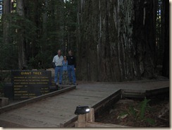 IMG_2677 IMG_2677