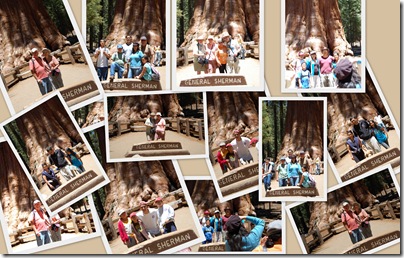 2010 CCtrip3