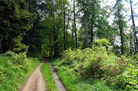 P1060900.JPG Photo