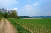 P1080431.JPG Photo