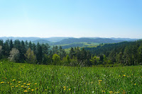 P1080469.JPG Photo