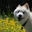 DSC_0121.JPG