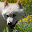 DSC_0081.JPG