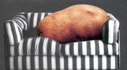 [couch potato[4].jpg]