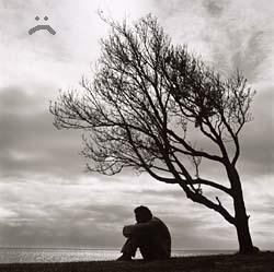 [noviembresolitario[5].jpg]