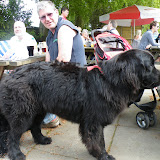 DSCF2252.JPG