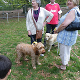 DSCF2257.JPG