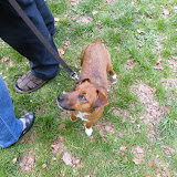 DSCF2260.JPG