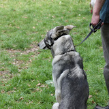 IMG_7565.JPG
