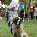 IMG_7494.JPG