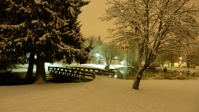 2010-10-23 Umea First Snow 032