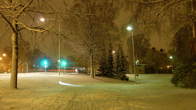 2010-10-23 Umea First Snow 016