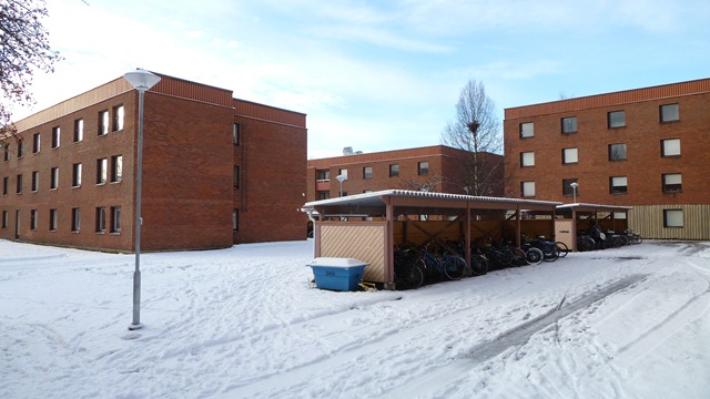 2010-10-23 Umea First Snow 045