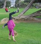 cartwheels anywhere