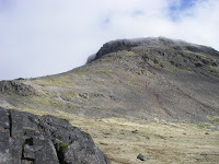 IMGP3976.JPG