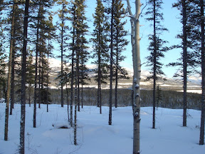 DSC00362.JPG