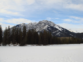 DSC00470.JPG