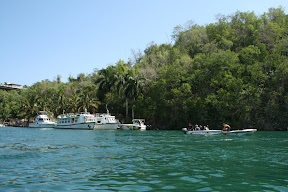 IMG_1172.JPG
