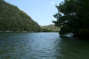 IMG_1202.JPG