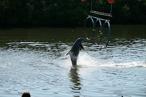 IMG_1357.JPG