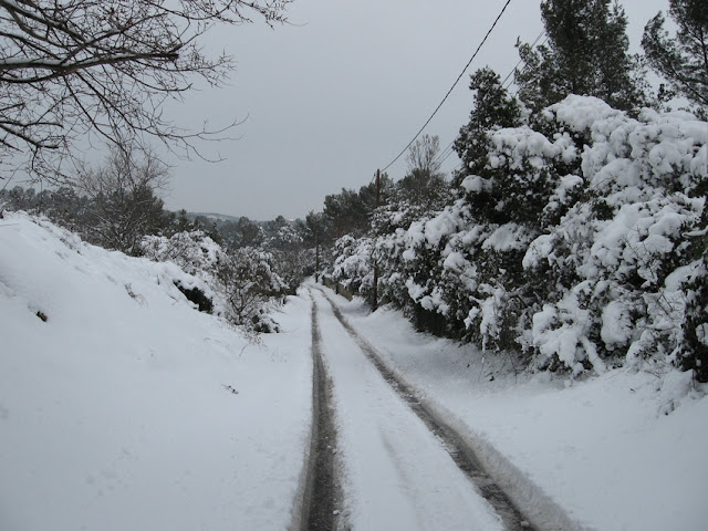 photo%20neige%208%20mars%202010%20089.jpg