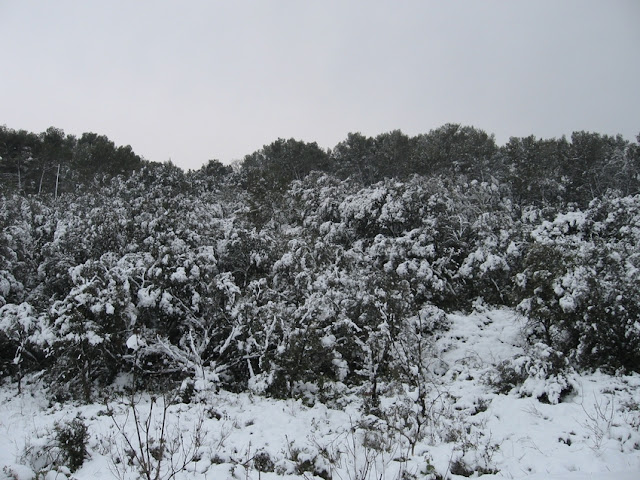 photo%20neige%208%20mars%202010%20093.jpg