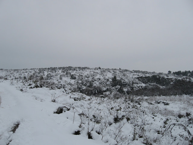 photo%20neige%208%20mars%202010%20097.jpg