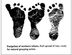 infant feet