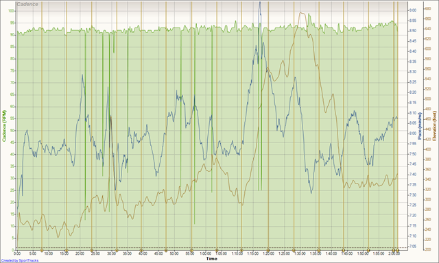 [Cadence - Time - Pace - Elevation[3].png]