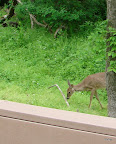DSC00610.JPG
