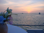 DSC06364.JPG