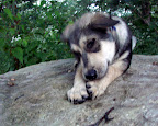 DSC02731.JPG