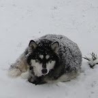 IMG_9113.JPG