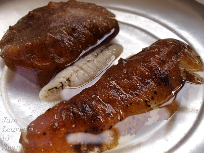 Sea Cucumber sea cucumber, food, photography