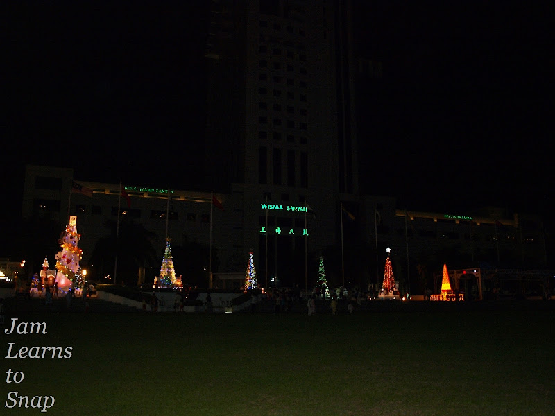 christmas, christmas tree, photography