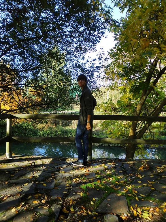 Lagares otoño 014