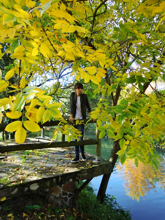 Lagares otoño 016