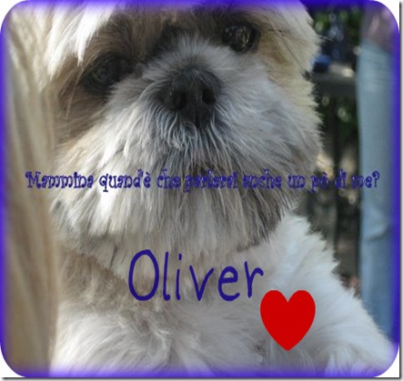 ollybello ollybello