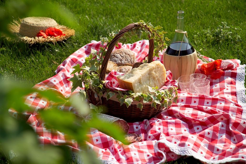 [pic-nic[5].jpg]