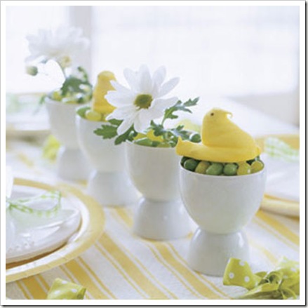 pasqua11