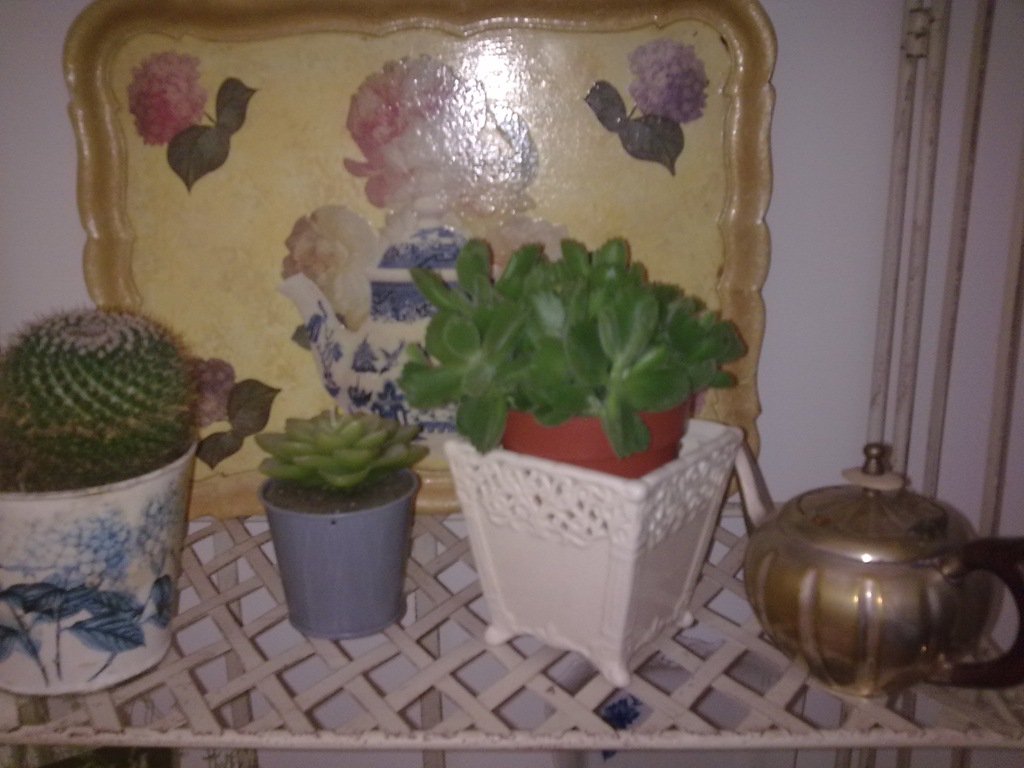 [Image0830(1)[5].jpg]