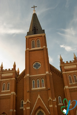 [DSC_2813_0295[3].jpg]