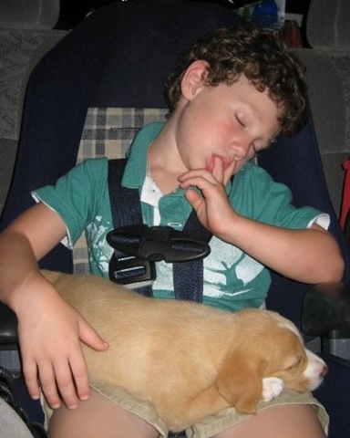 [asleep[5].jpg]